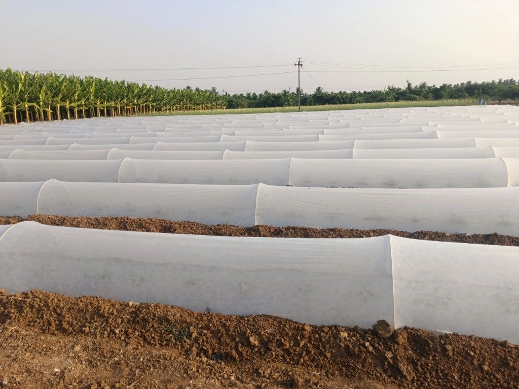 Primary Crop Cover field installation