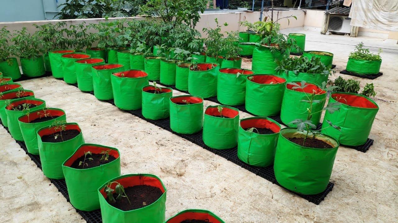 GroKhet Grow Bags in action