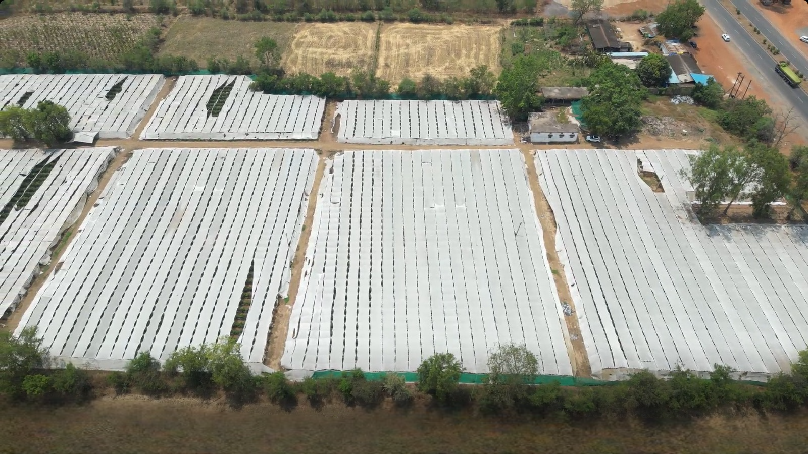 GroKhet Gro Netlon Cover installed over crops