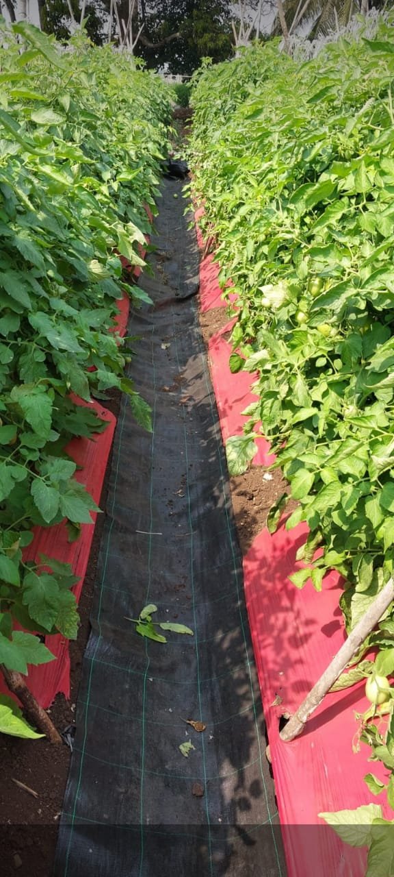 Gro Weed Mat installation